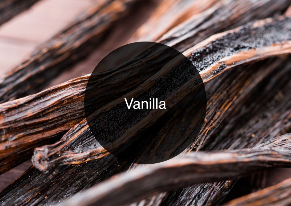 The Candy Perfume Boy's Guide to Vanilla