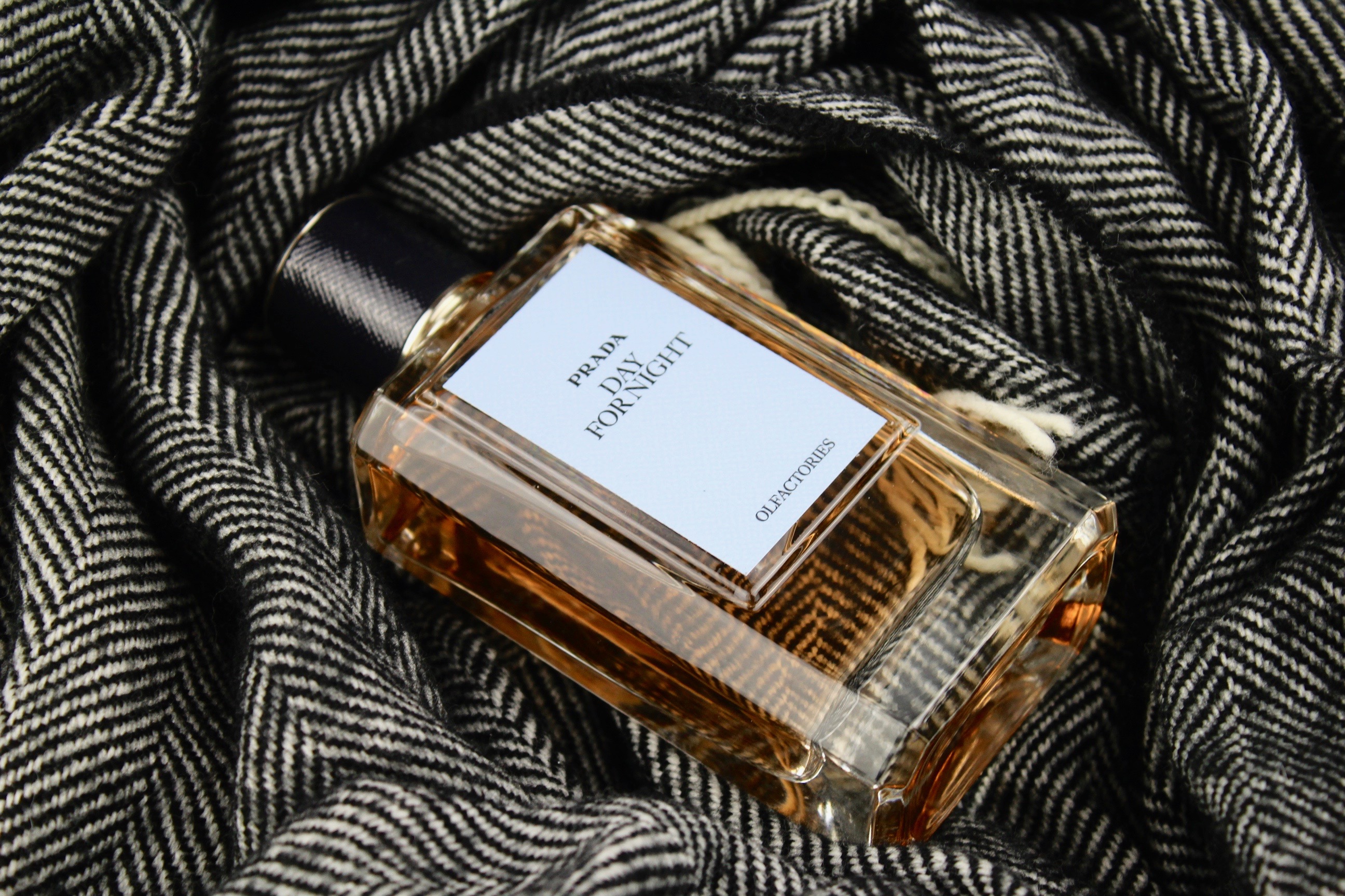 Speed Sniff: Day for Night by Prada Olfactories – The Candy Perfume Boy